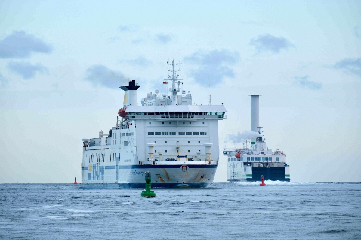 Haustiere auf der Fähre Rostock-Gedser
